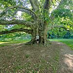 IMG_20250723_174354