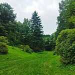 IMG_20250724_123431