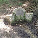 IMG_20250724_144029