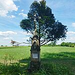 IMG_20250724_155135