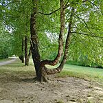 IMG_20250725_171148