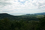 IMG_4554