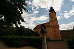 IMG_4452