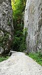 IMG_20250723_145932