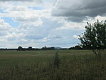 IMG_8524