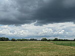 IMG_8536
