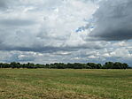 IMG_8537