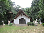 IMG_8586