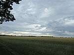 IMG_8595