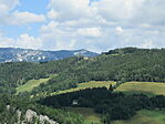 IMG_8754