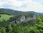 IMG_8774