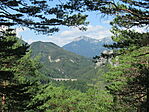 IMG_8785
