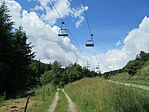IMG_8806