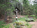 IMG_8817