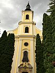 IMG_0300