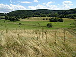 DSC00422