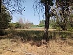 IMG_20250706_150131561_MFNR