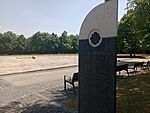 IMG_20250706_133909354_MFNR