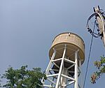 IMG_20250706_141018347_PORTRAIT