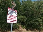 IMG_20250706_143708420_MFNR