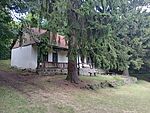 IMG_20250712_155018443_MFNR