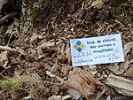 IMG_20250712_135252650_MFNR