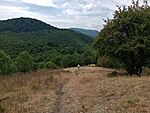 IMG_20250712_141037375_MFNR