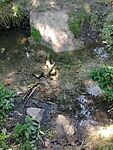 IMG_20250715_151642802_MFNR