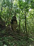 IMG_20250701_105426