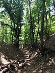 IMG_20250701_114818