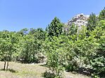IMG_20250701_121629
