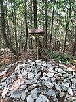 IMG_20250705_161738