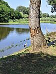 IMG_20250712_093835