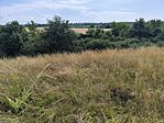 IMG_20250715_155739