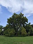 IMG_20250716_111510