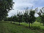 IMG_20250717_112738