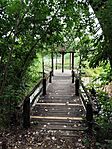 IMG_20250717_113254