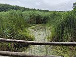 IMG_20250717_113322