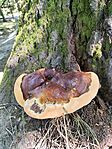 IMG_20250720_104418