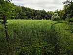 IMG_20250729_150837