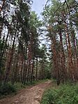 IMG_20250729_151034