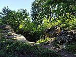 IMG_20250731_104519