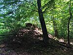 IMG_20250731_105807