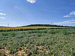 IMG_20250714_155352