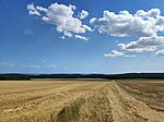 IMG_20250714_155326