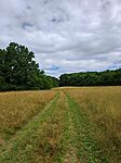 IMG_20250718_111855