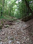 IMG_20250726_182247914