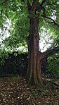 IMG_20250627_150414