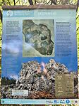 IMG_20250705_141645