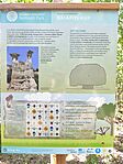 IMG_20250705_144750
